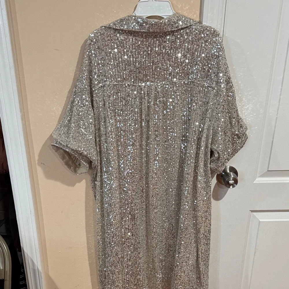 Everly Silver Sequin Dress - Picture 8 of 10